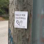 CAsplit: Netprov as Game Design (part 2)