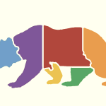 CAsplit: Netprov as Game Design (part 1)